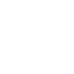 ICOM dOO